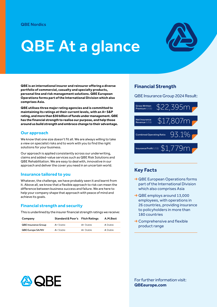 QBE at a glance